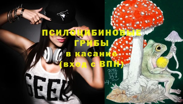 марки nbome Гусев