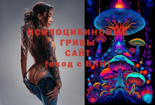 марки nbome Гусев