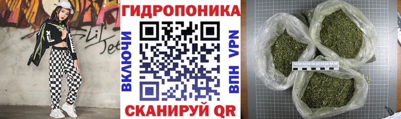 Купить где  Камбарка  Бошки Шишки Amnesia 